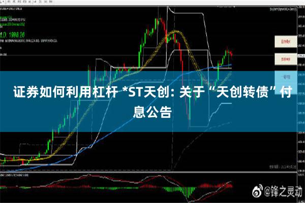 证券如何利用杠杆 *ST天创: 关于“天创转债”付息公告