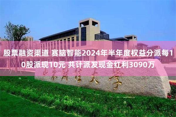 股票融资渠道 赛脑智能2024年半年度权益分派每10股派现10元 共计派发现金红利3090万