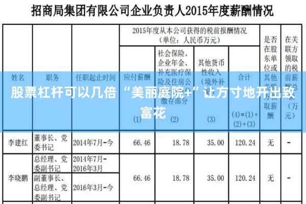 股票杠杆可以几倍 “美丽庭院+”让方寸地开出致富花