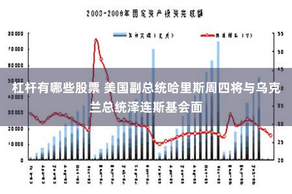 杠杆有哪些股票 美国副总统哈里斯周四将与乌克兰总统泽连斯基会面