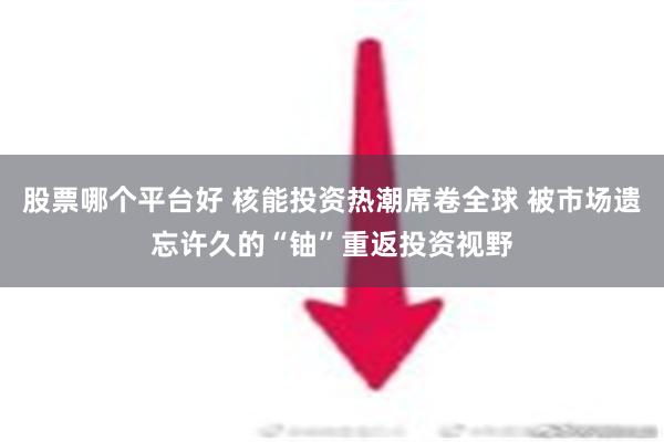 股票哪个平台好 核能投资热潮席卷全球 被市场遗忘许久的“铀”重返投资视野